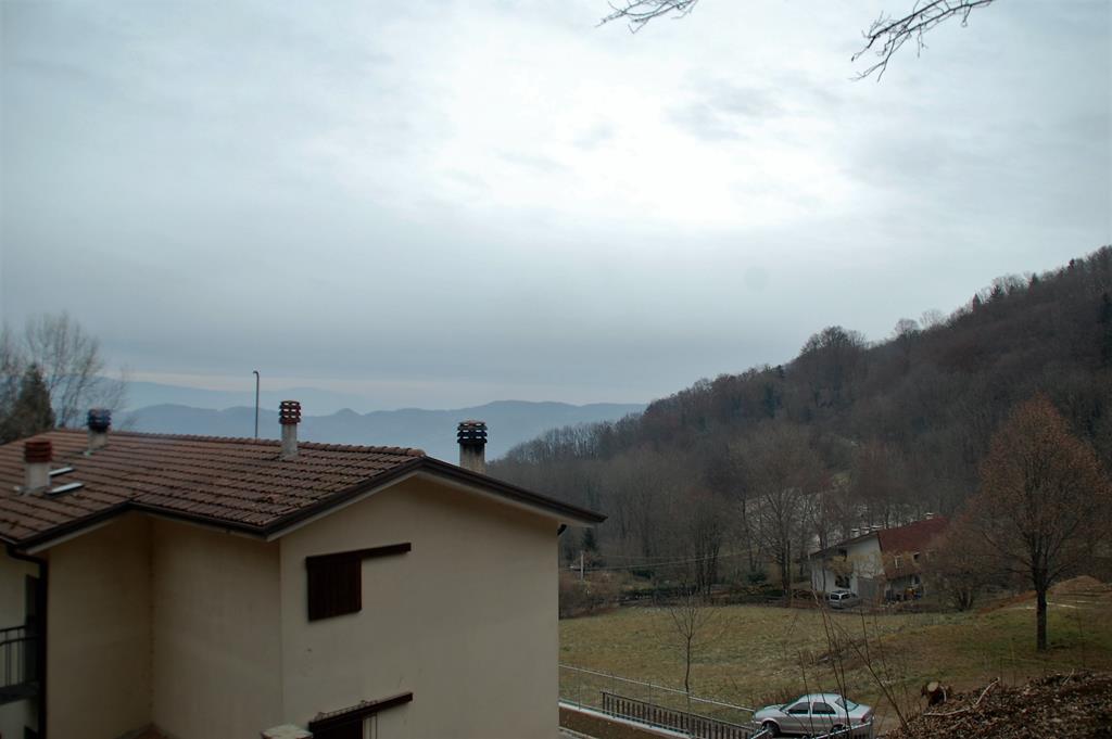 panorama9