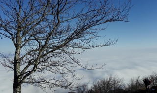 panorama3